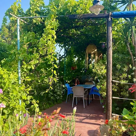 Nitsa's Apartment Megalon Chorion (Tilos)