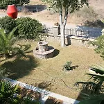 Nitsa's *