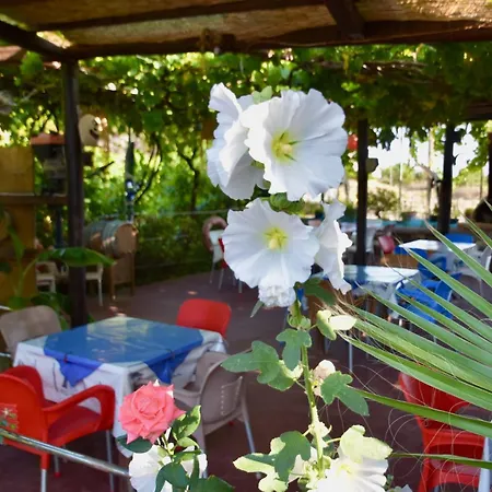 Nitsa's Daire Megálon Choríon