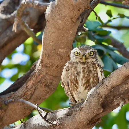 Appartement Nitsa's *